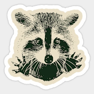 Cute Innocent Raccoon Sticker